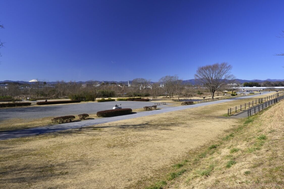 多摩川中央公園