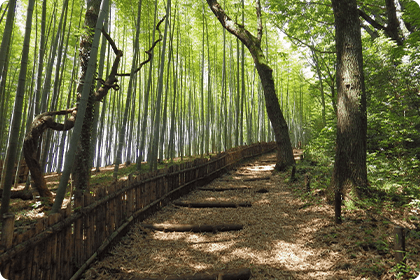 東大和市立狭山緑地