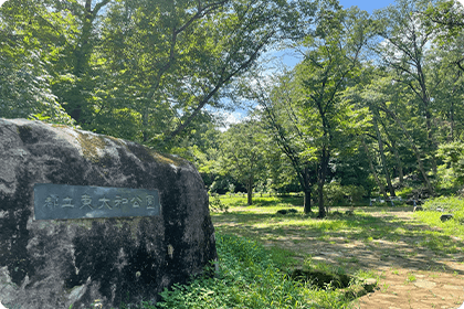 東京都立東大和公園