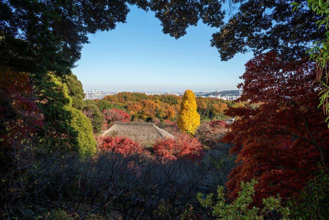 京王百草園