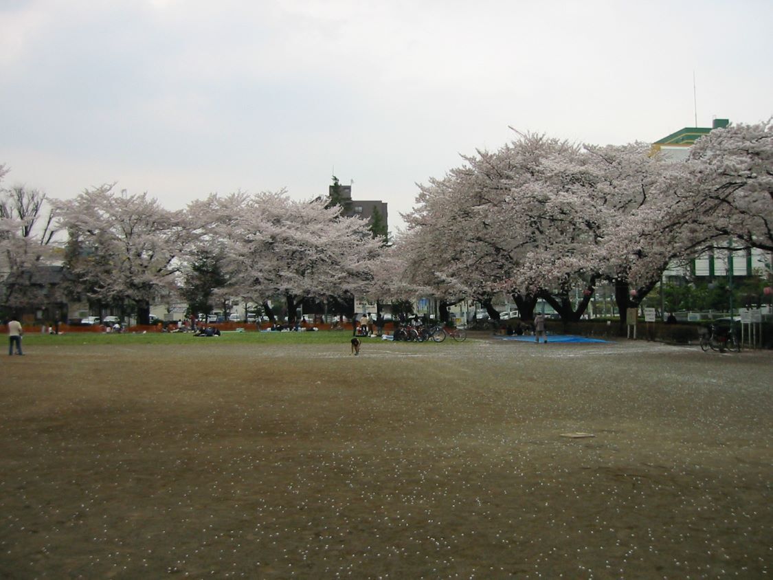 旭が丘中央公園