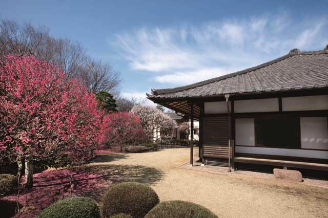 平櫛田中彫刻美術館