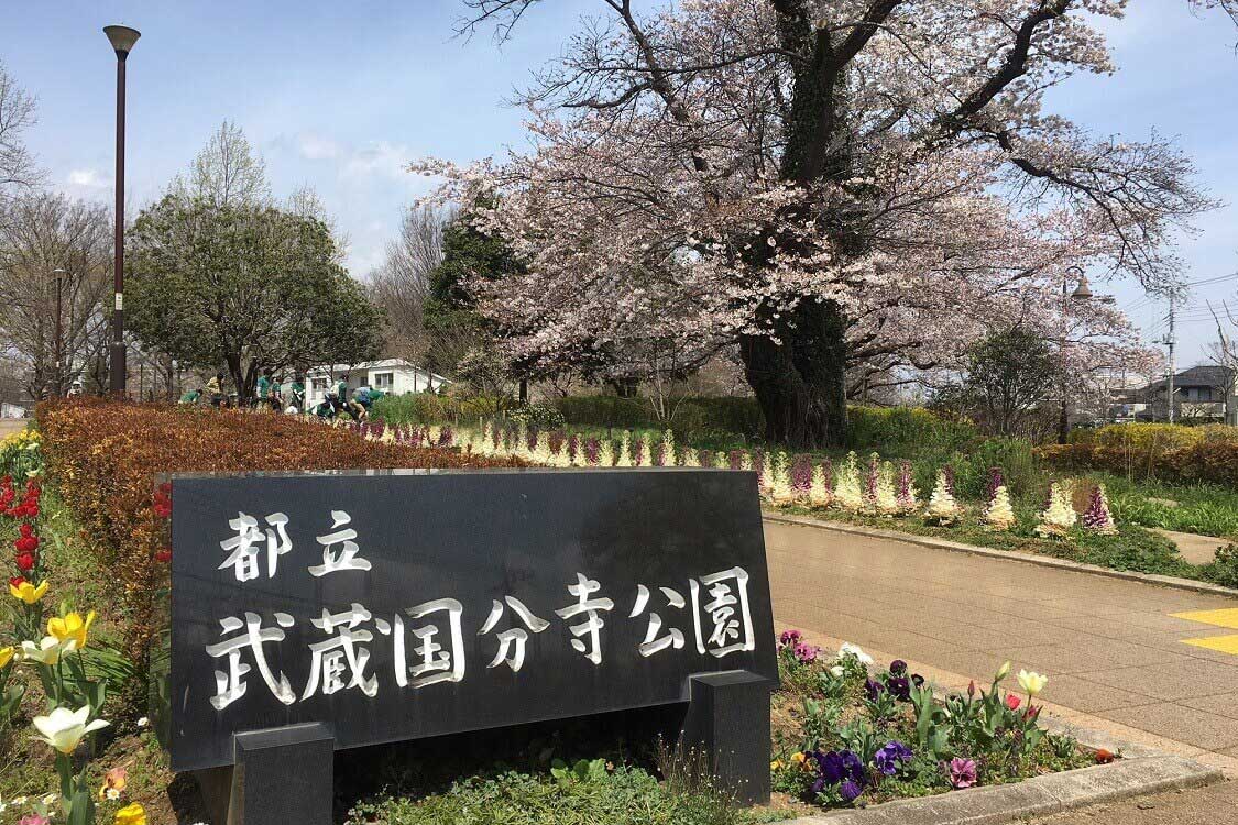 都立武蔵国分寺公園