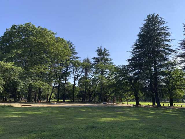 大南公園