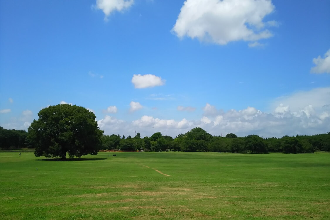 国営昭和記念公園